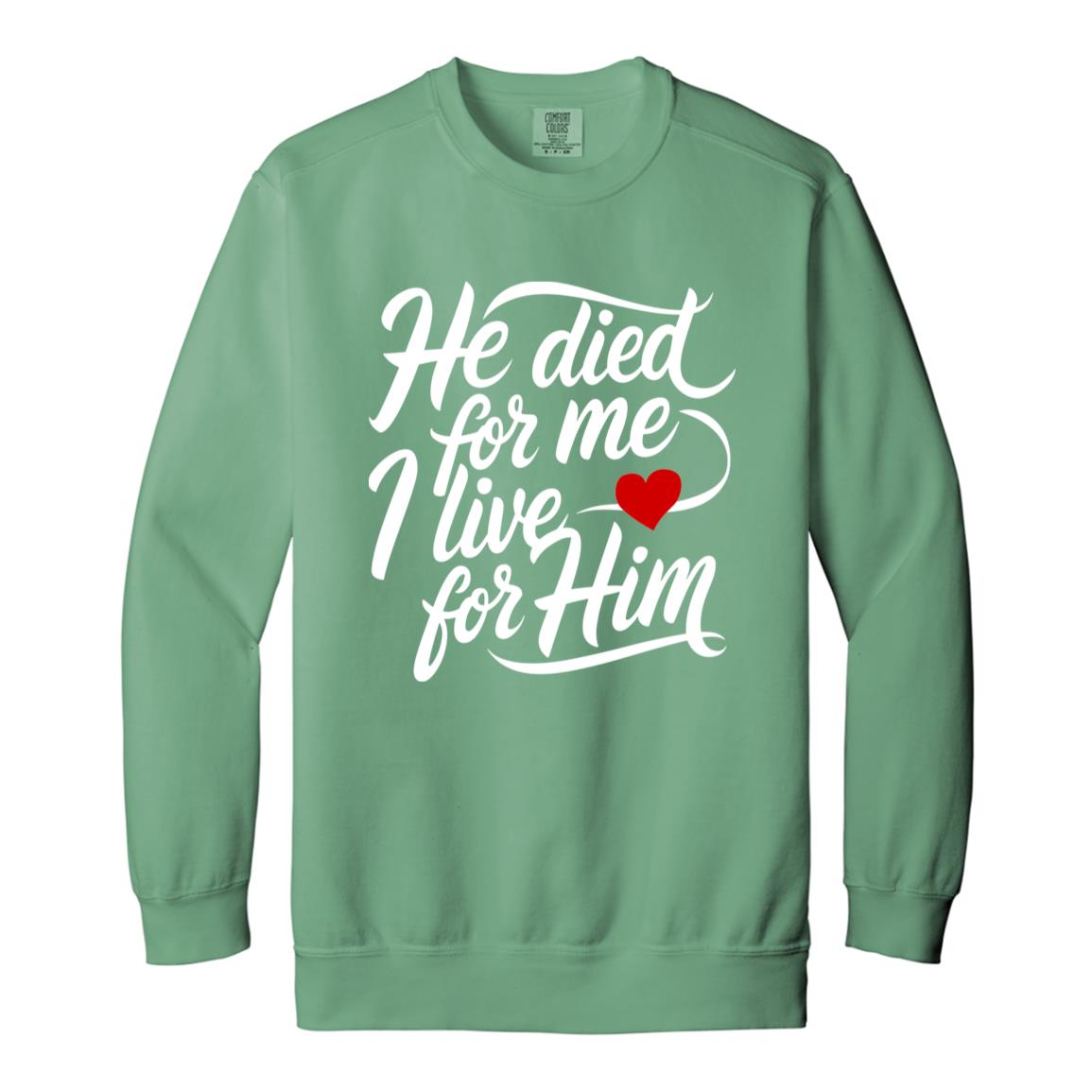 He Died For Me Christian Message Garment-Dyed Christian Crewneck Sweatshirt-Sweatshirts-PureDesignTees