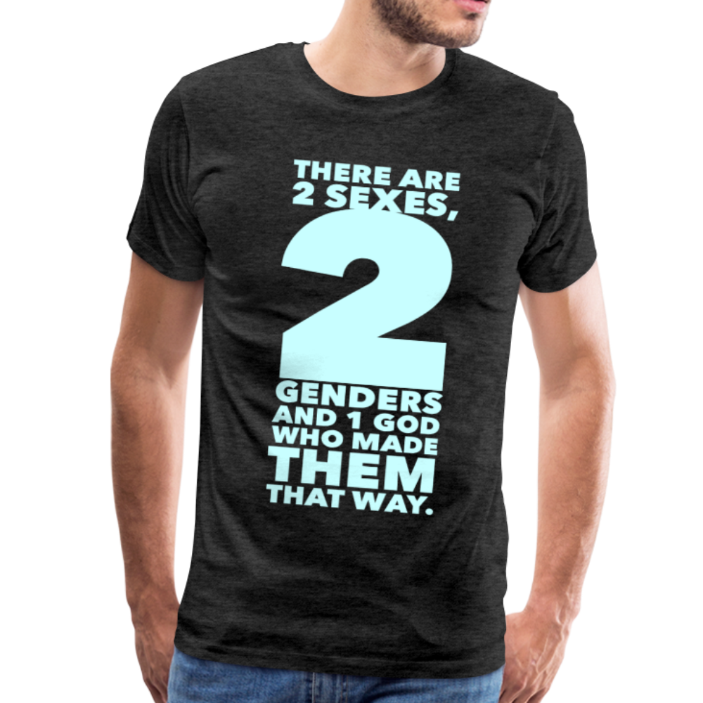 There Are 2 Genders Men's Premium T-Shirt-Men's Premium T-Shirt-PureDesignTees