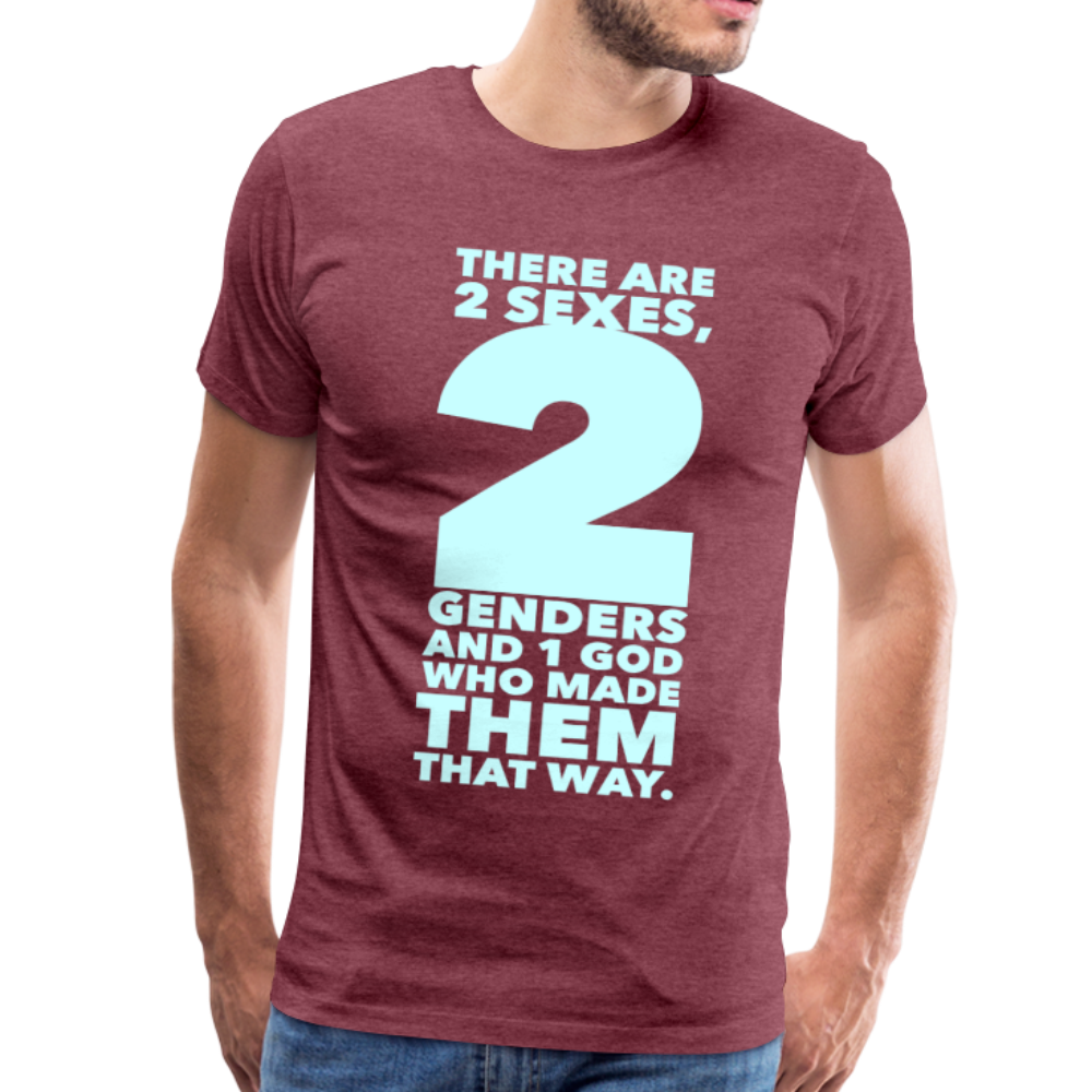 There Are 2 Genders Men's Premium T-Shirt-Men's Premium T-Shirt-PureDesignTees