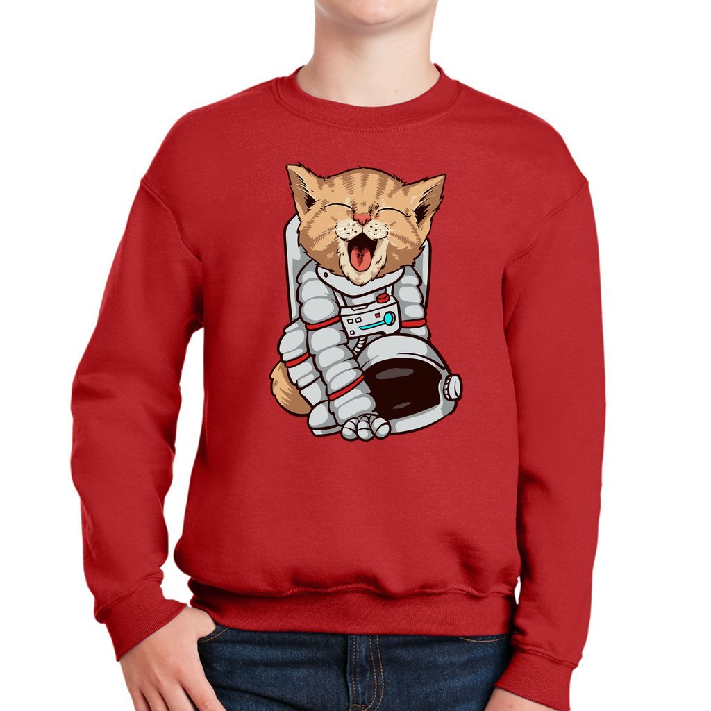 Funny Cat Astronaut Youth Heavy Blend Sweatshirt-youth sweatshirt-PureDesignTees