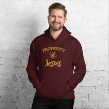 Load image into Gallery viewer, Property of Jesus Hooded Sweatshirt-Hoodie-PureDesignTees