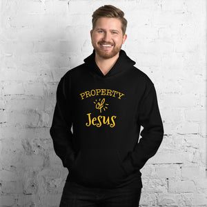 Property of Jesus Hooded Sweatshirt-Hoodie-PureDesignTees